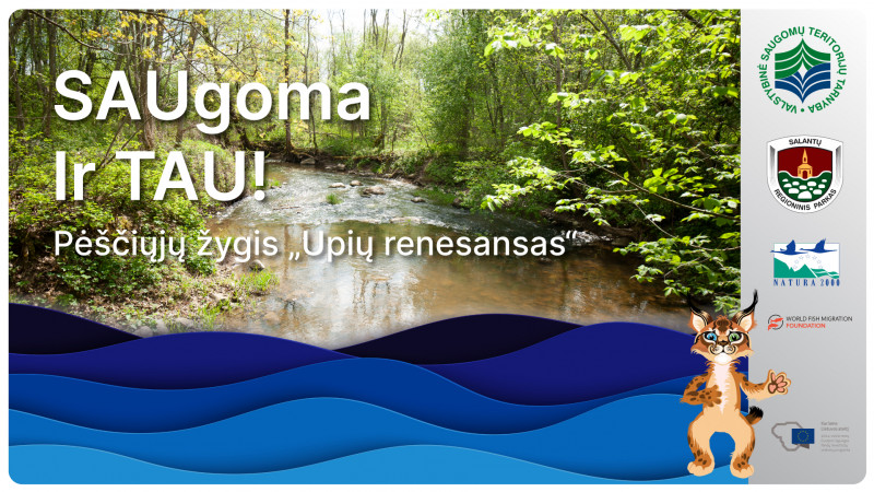 galutine versija.jpg