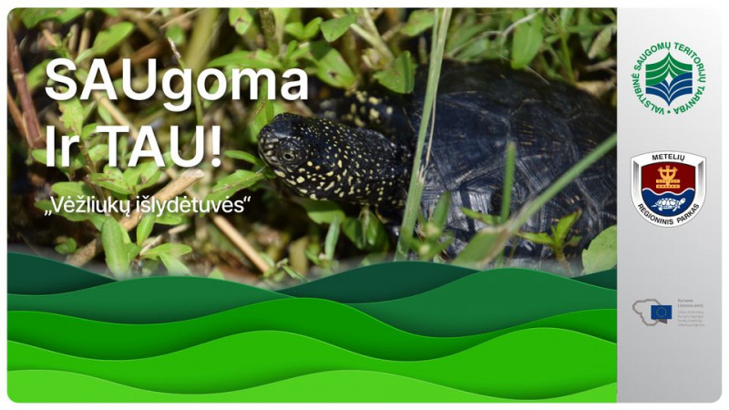 Renginio vizualas.jpg