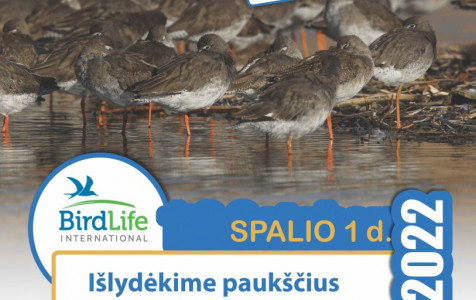 Pauksčių išledytuvės.jpg