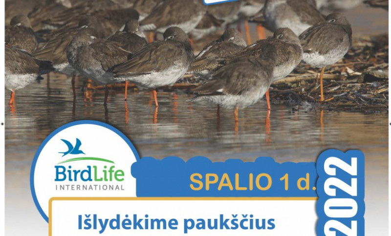 Pauksčių išledytuvės.jpg