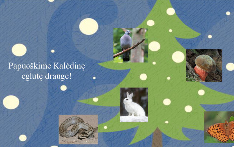 Kaled seimadienis.jpg