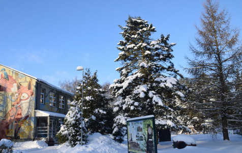 Kauno mariu zygis.jpg