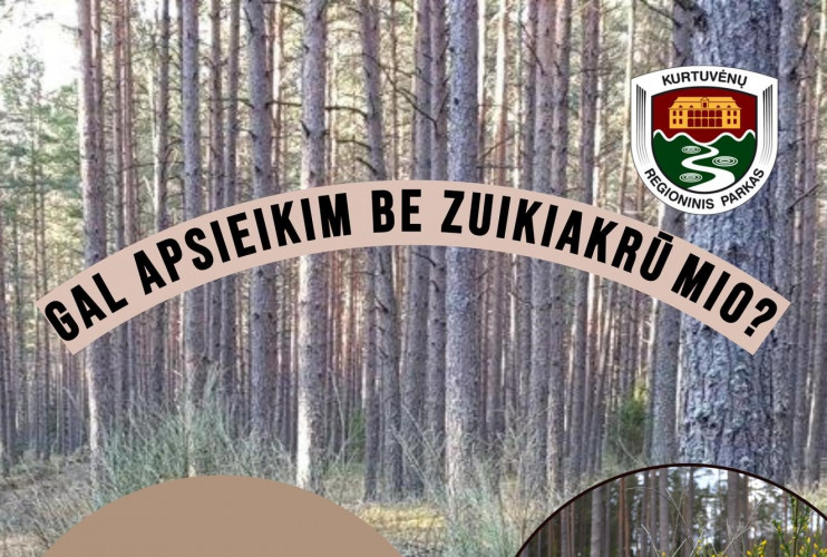 Be zuikiakrūmio.jpg