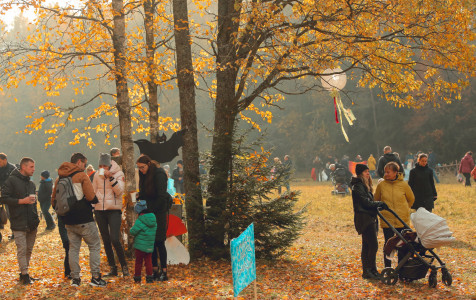 Miško burtai1_Jonkus Photography.jpg