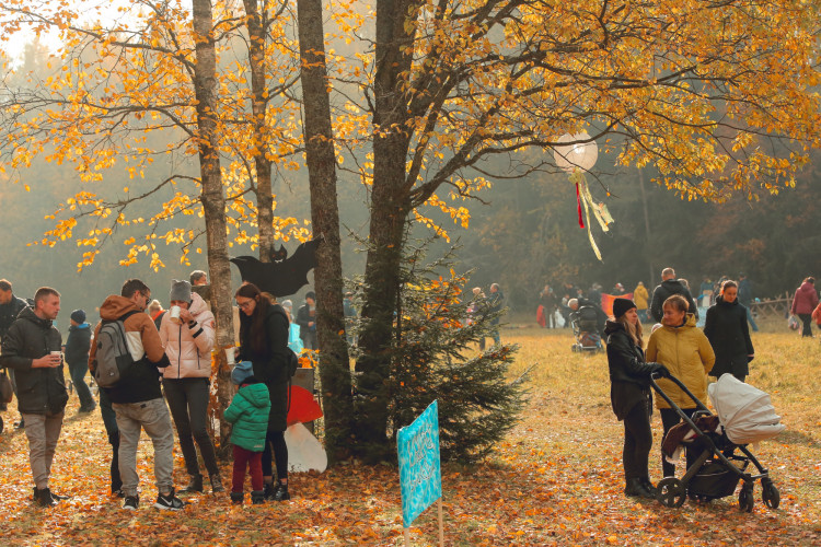 Miško burtai1_Jonkus Photography.jpg