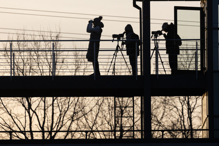 Pauksciu sutiktuves.jpg