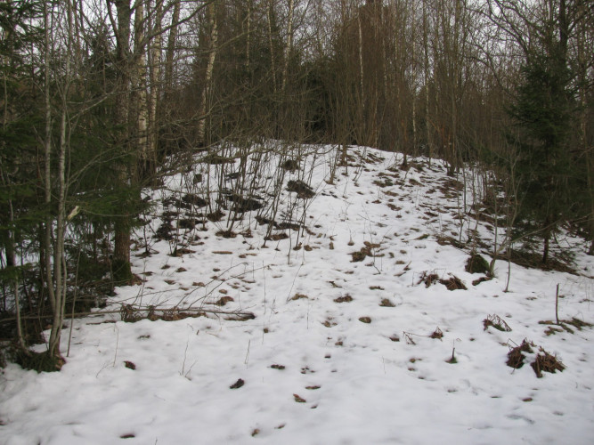 Žygis Žemaitijos NP.jpg