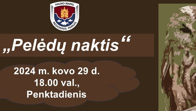 Pelėdų naktis.jpg