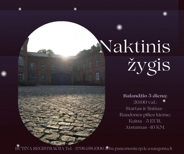 Naktinis žygis.jpg