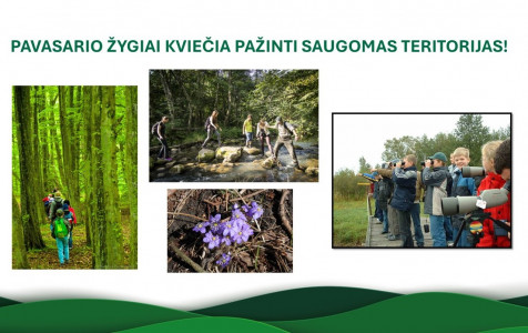 Pavasariniai žygiai.jpg