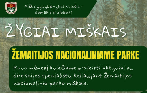 Kovo žygiai ŽNP.png