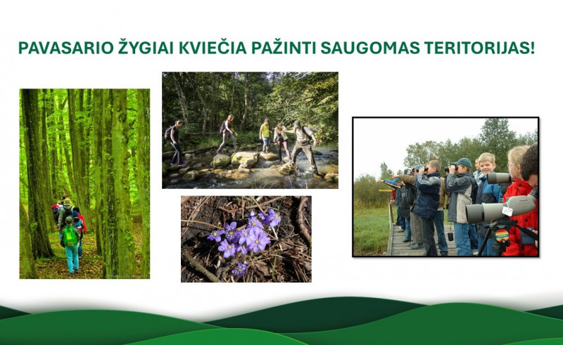 Pavasariniai žygiai.jpg