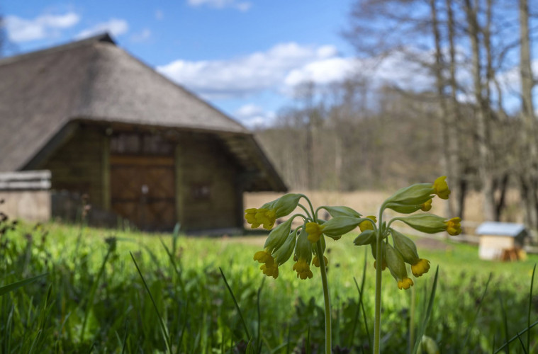 Stripeikiu renginys.jpg