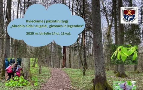 Aukstadvario zygis.jpg