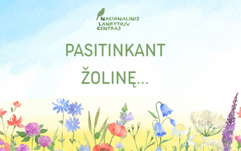 Žolinėms facebook (A5 (Landscape)).jpg