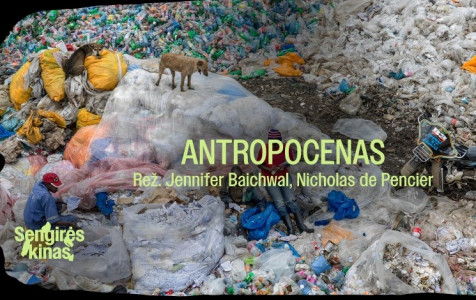 Sengirės kinas Tytuvėnų RP.jpg