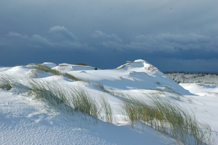 Kursiu nerijos NP.jpg