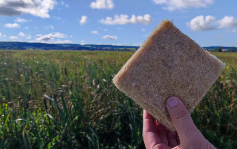 Svendrai IMG_202209210.jpg