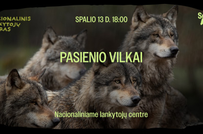 Nac. Lankytojų centras.jpg