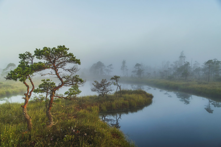 Pelke 5_R. Kilinksaites foto.JPG