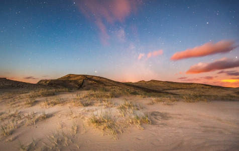 NAGLIŲ REZERVATO PAŽINTINIAME TAKE BUS REGULIUOJAMI LANKYTOJŲ SRAUTAI