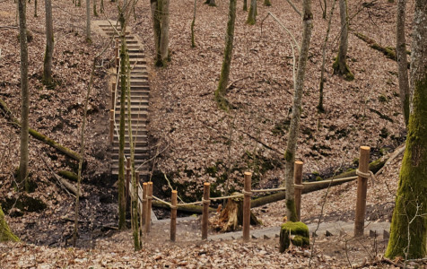 Punios silo trasa.jpg