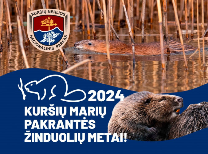 Žinduoliu metai KNNP.jpg