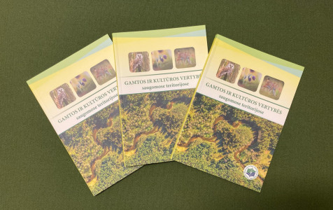 Leidinys ST vertybes.jpg