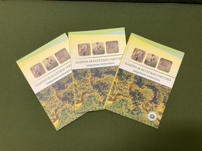 Leidinys ST vertybes.jpg