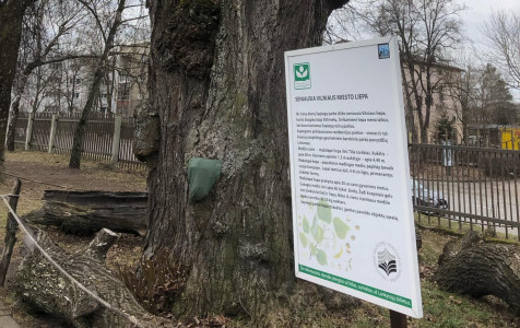 SENOJI vILNIAUD LIEPA.jpg