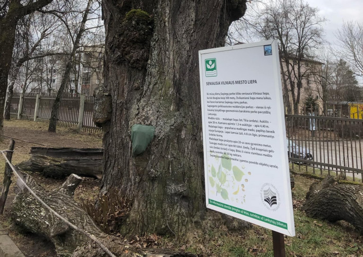 SENOJI vILNIAUD LIEPA.jpg