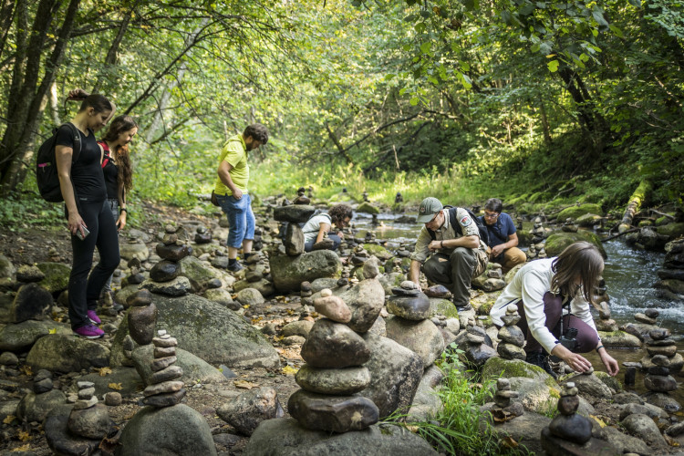 Dusktos pazintinis takas 555 (1).jpg