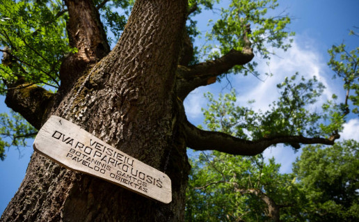 VSTT nuotrauka-veisieju-dvaro-parko-uosis.jpg