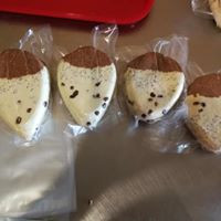 sūrių foto šv.jpg