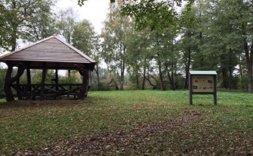 Sutvarkyta pavesine.jpg