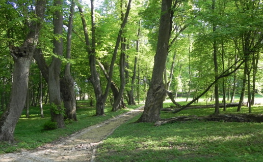 Vainežerio dvaro parkas 2.jpg