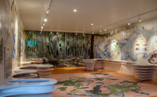 NKRP LC IMG_1847.jpg