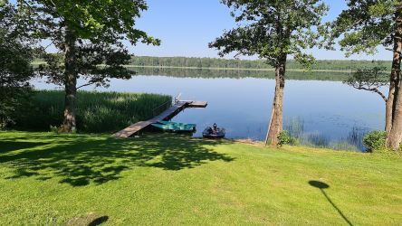 Un sartu-lieptelis copy.jpg