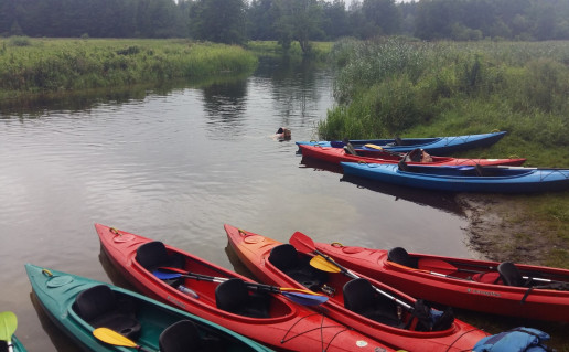 20160806_142647 (Svetainei).jpg