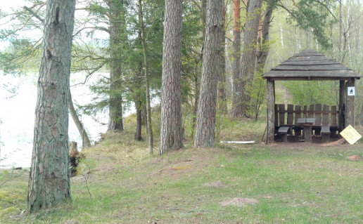 zverno prie uredijos.jpg