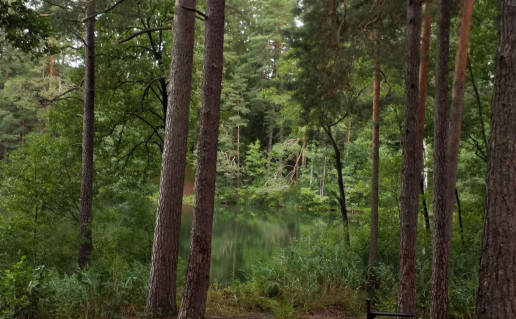 Leikštinio I stovyklavietė.png