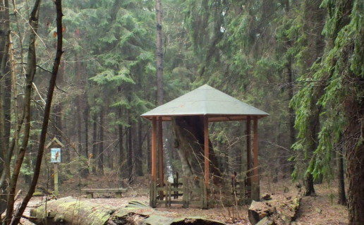 purviniskiu pusis.jpg