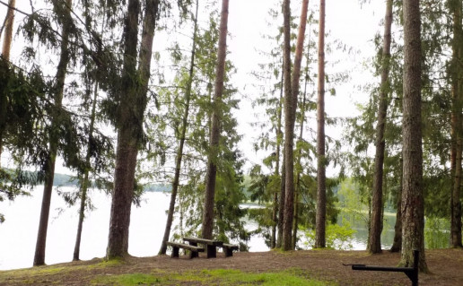 Arino ll-oji-1-scaled-1170x760.jpg