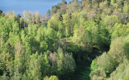 abejuciu piliakalnis.jpg