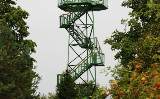 Kalnalio apzvalgos bokstas(1296 x 1936).jpg