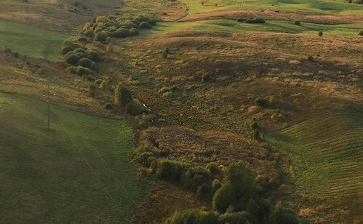 Pagrundos rina_2020-09-29.jpg