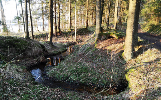 Jaskoniškių takas.jpg