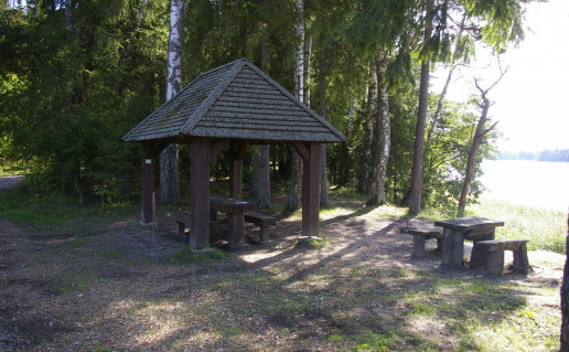 Dusetų girios stovyklavietė 2.jpg