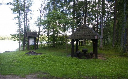 Kavolių šilelio stovyklavietė Nr. 1.jpg