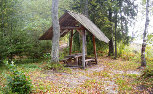 Dusetų girios stovyklavietė _3.jpg